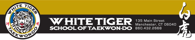 Taekwondo the art of self defense